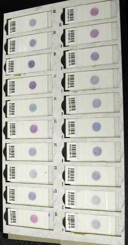 Отделение клинической патоморфологии№1