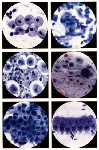 Отделение клинической патоморфологии№2